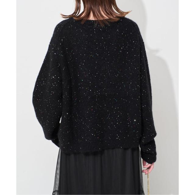 スローブ イエナ（SLOBE IENA）/《WEB限定/追加2予約》スパンコールニット