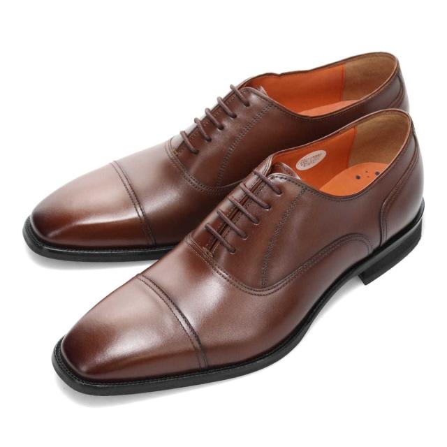マドラス モデロ（madras MODELLO）/モデロヴィータ MODELLO VITA　装いの格を上げるストレートチップ・ドレスシューズ_1