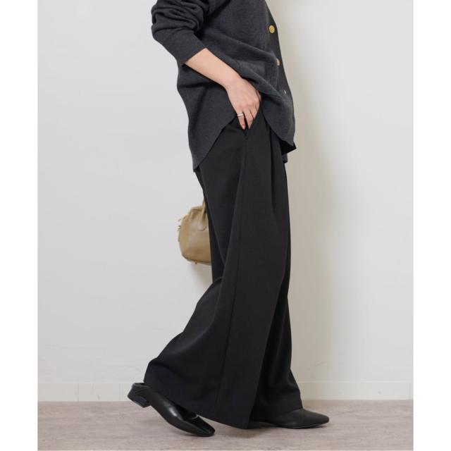 ジャーナルスタンダード レリューム（JOURNAL STANDARD relume）/《追加》ウォッシャブルサージストレッチタックワイドパンツ