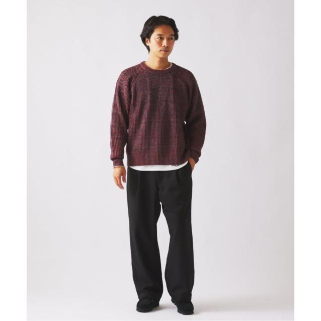 ジャーナルスタンダード レリューム（JOURNAL STANDARD relume）/バルジ ツイル ”レイジー” 1タック スラックス