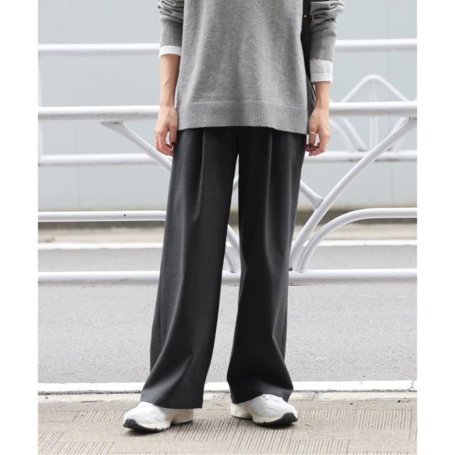 ジャーナルスタンダード レリューム（JOURNAL STANDARD relume）/《追加》ストレッチブラッシュタックパンツ