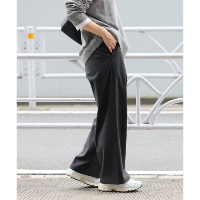 ジャーナルスタンダード レリューム（JOURNAL STANDARD relume）/《追加》ストレッチブラッシュタックパンツ