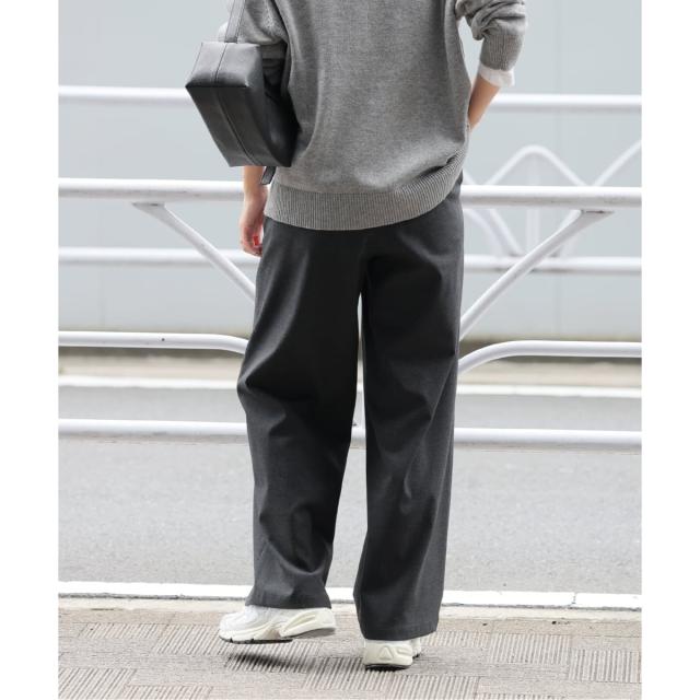 ジャーナルスタンダード レリューム（JOURNAL STANDARD relume）/《追加》ストレッチブラッシュタックパンツ