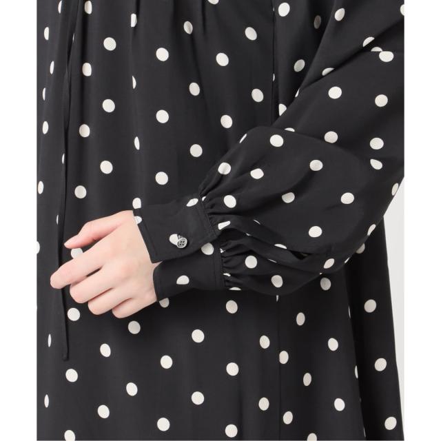 ジャーナルスタンダード レリューム（JOURNAL STANDARD relume）/《WEB限定》ドットプリントピンタックフレアワンピース