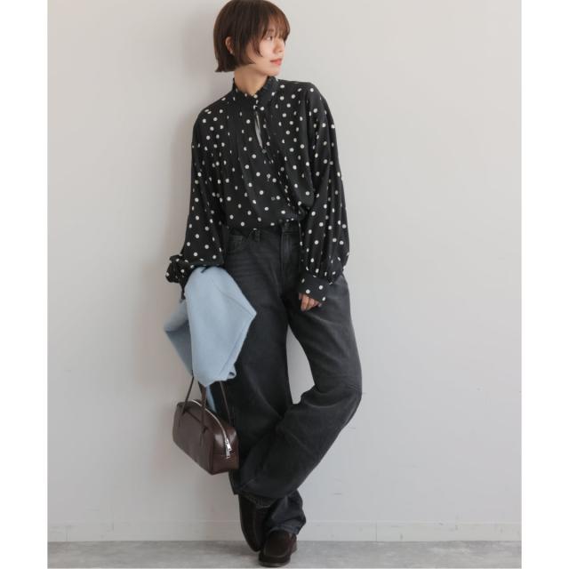 ジャーナルスタンダード レリューム（JOURNAL STANDARD relume）/《WEB限定》ドットプリントピンタックブラウス