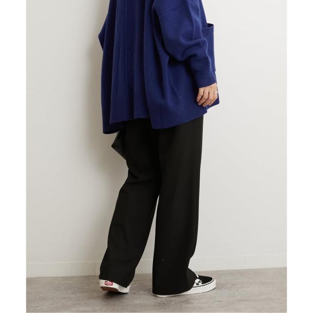 ジャーナルスタンダード レリューム（JOURNAL STANDARD relume）/《一部WEB限定追加3》サーモサキソニー裏起毛パンツ