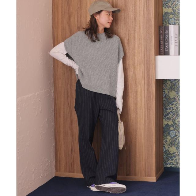 ジャーナルスタンダード レリューム（JOURNAL STANDARD relume）/《追加2》ハミルトンウール畔ベスト