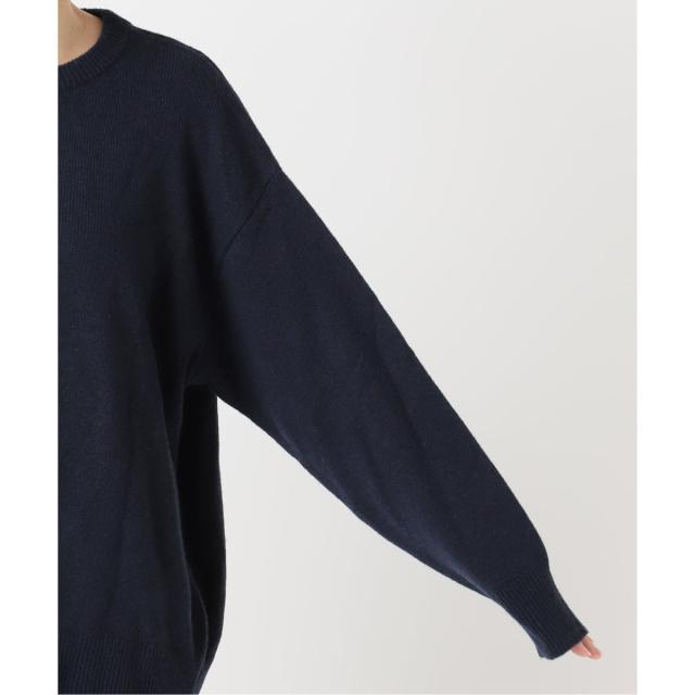 ジャーナルスタンダード レリューム（JOURNAL STANDARD relume）/《WEB限定追加予約》バックロゴニットプルオーバー