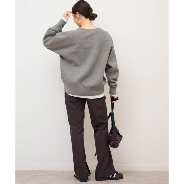 ジャーナルスタンダード レリューム（JOURNAL STANDARD relume）/《追加予約》スウェットライクドルマンプルオーバー