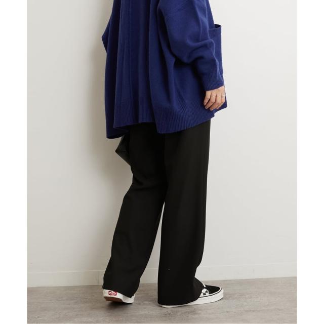 ジャーナルスタンダード レリューム（JOURNAL STANDARD relume）/《WEB限定追加予約5》サーモサキソニー裏起毛パンツ