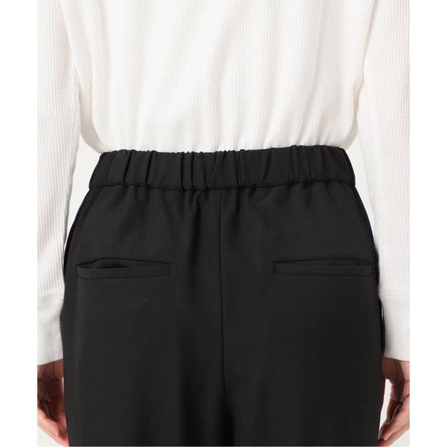 ジャーナルスタンダード レリューム（JOURNAL STANDARD relume）/《WEB限定追加予約5》サーモサキソニー裏起毛パンツ