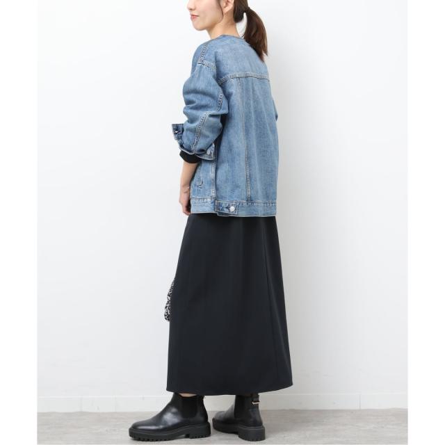 ジャーナルスタンダード レリューム（JOURNAL STANDARD relume）/《予約》NONIRONジョーゼットワンピース