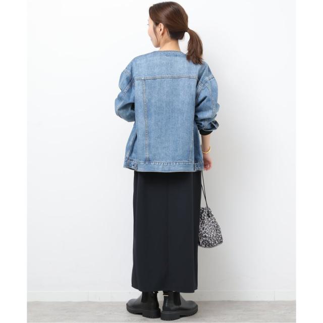 ジャーナルスタンダード レリューム（JOURNAL STANDARD relume）/《予約》NONIRONジョーゼットワンピース