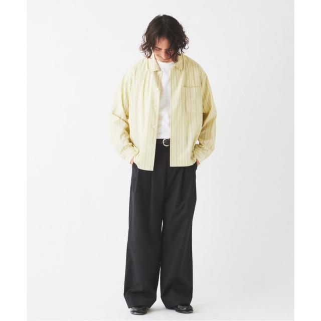 ジャーナルスタンダード レリューム（JOURNAL STANDARD relume）/JAMES FABRIC / ジェームスファブリック レーヨンブレンド ストライプ…_9