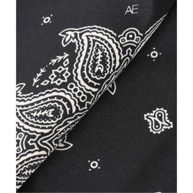 ジャーナルスタンダード レサージュ（journal standard L’essage）/《追加2》【AENEIS/エネス】 MINIMAL BANDANA SILK TOTE BAG：トー
