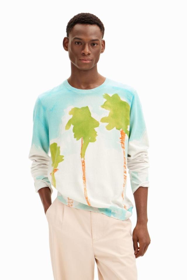 デシグアル（Desigual）/AIKE プルオーバーロングスリーブ