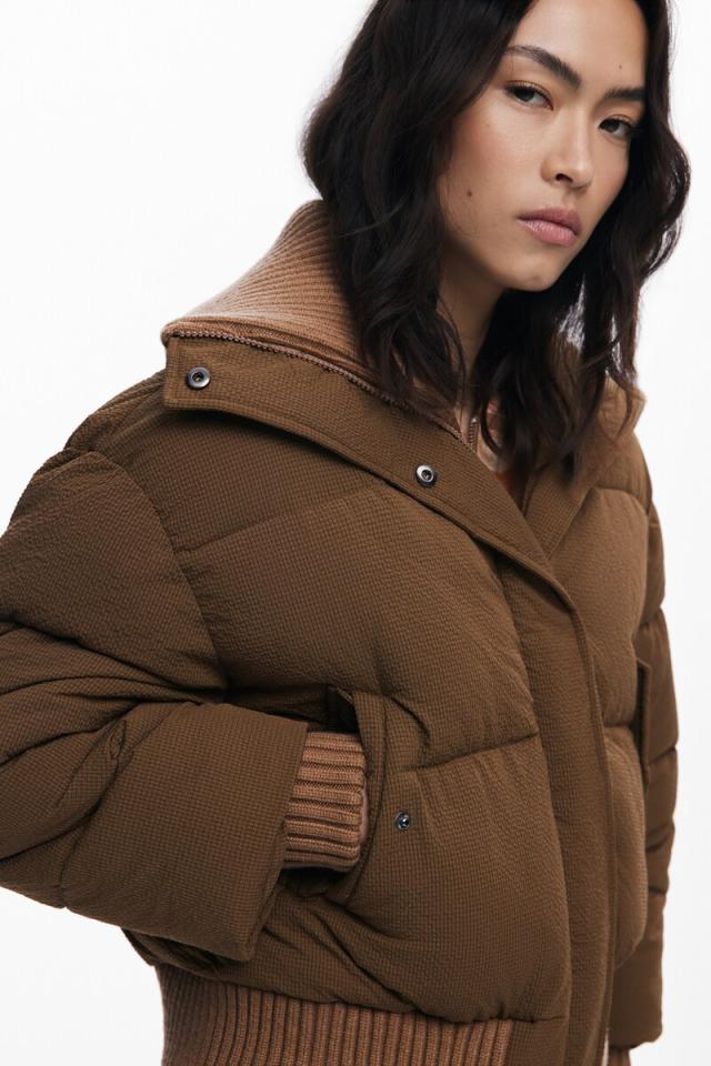 デシグアル（Desigual）/【5サイズ展開/XS/XL】中綿入りショート