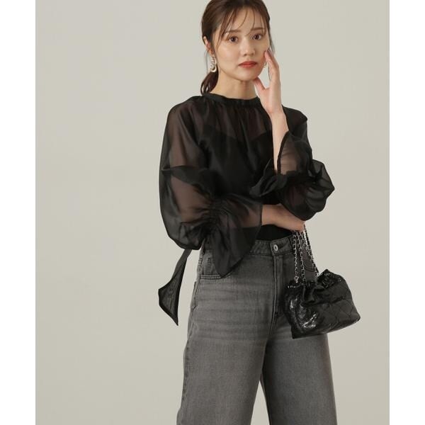 プロポーション ボディドレッシング（PROPORTION BODY DRESSING）/2wayシアーボウタイブラウス24AWの通販は