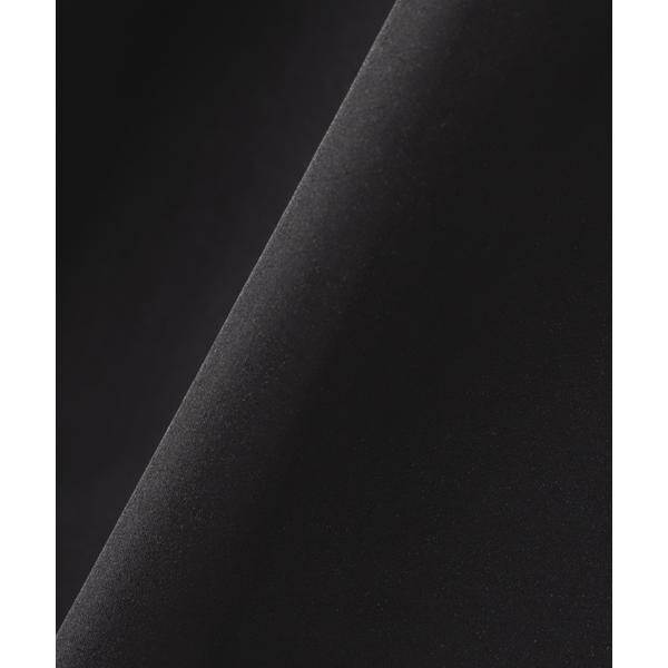 プロポーション ボディドレッシング（PROPORTION BODY DRESSING）/2wayシアーボウタイブラウス24AWの通販は