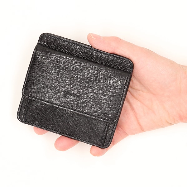 ゲンテン（genten）/ゴートベーシック フラグメントケース