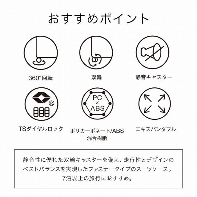 ace．（ace．）/スーツケース 88/103L 大型 エキスパンド パリセイドZd ace．_4