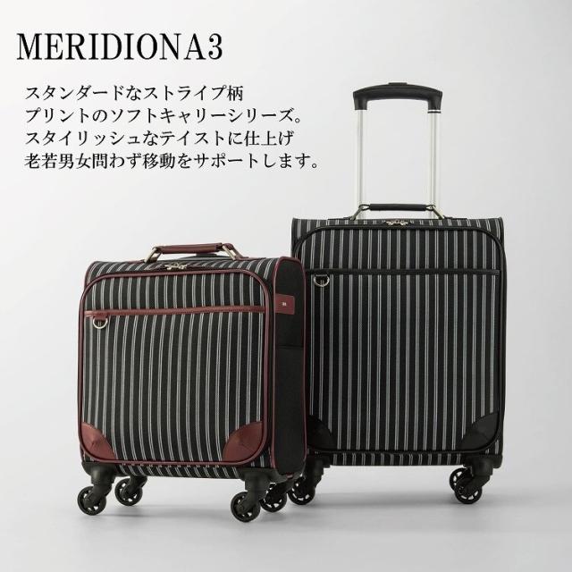ace．（ace．）/ソフトケース キャリーバッグ 32L 機内持ち込み メリディオナ3 17659_2