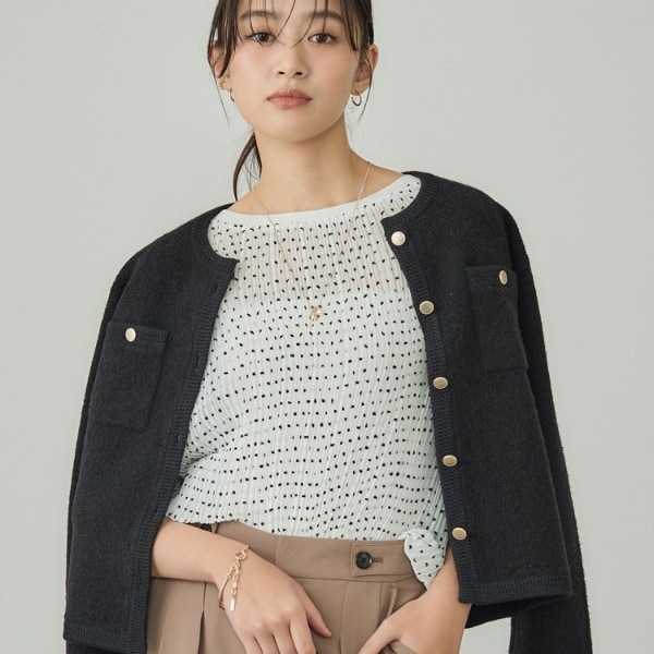 インディヴィ（INDIVI）/【洗える／ドット柄／凹凸素材】プリーツデザインブラウス