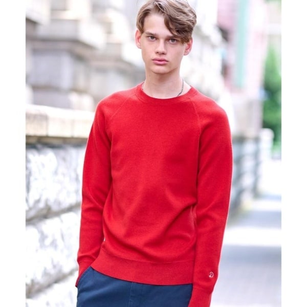 ドレステリア（DRESSTERIOR）/ウォッシャブル コットンカシミヤ