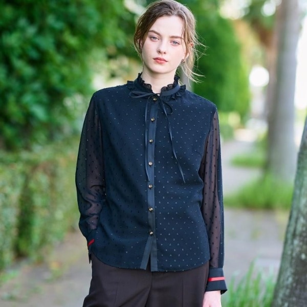 ドレステリア（DRESSTERIOR）/【洗えるシアー素材otonaMUSE 11月号掲載】フィルムドットブラウス