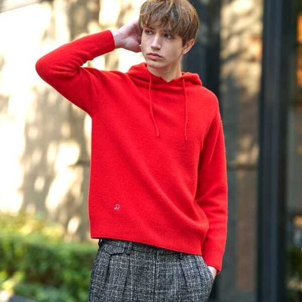 ドレステリア（DRESSTERIOR）/カシミヤブレンドフードニットの通販はau 