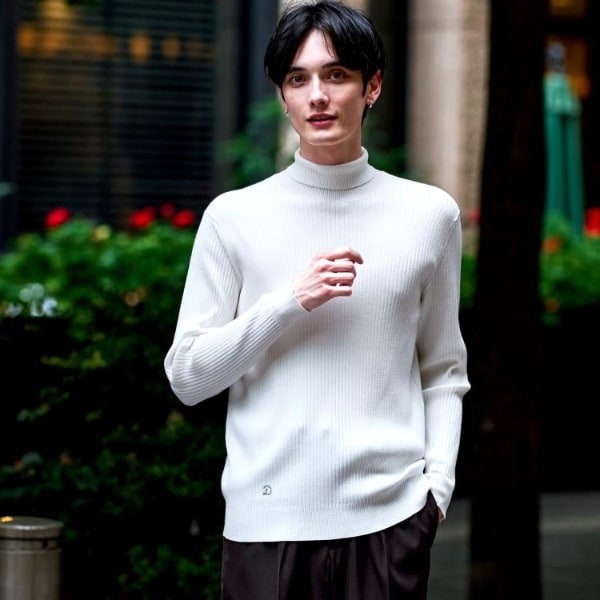 ドレステリア（DRESSTERIOR）/ワイドリブ タートルネックニット