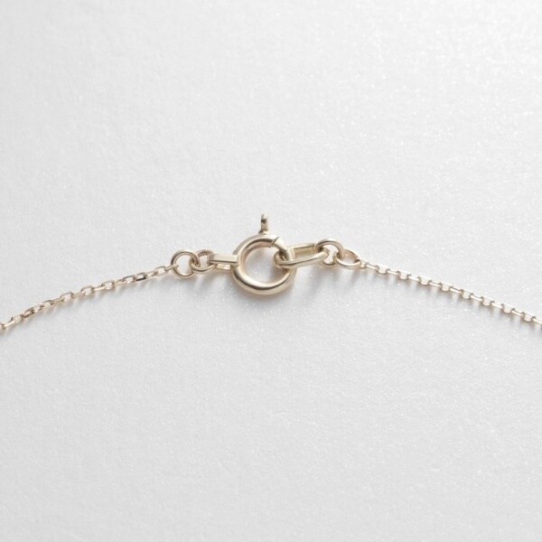 ココシュニック（COCOSHNIK）/【WEB限定】K10イニシャルA ネックレス