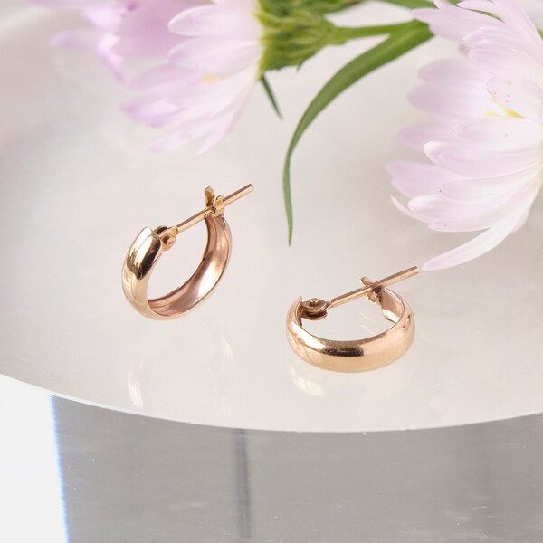 フィービィー/【Ｋ１０】ディアプランプフープピアスの通販は