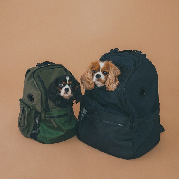 ロウェル シングス（LOWELL Things）/MATIE/ペットリュックミニ