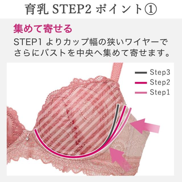 BRADELIS ブラデリス ステラ D65/STEP2