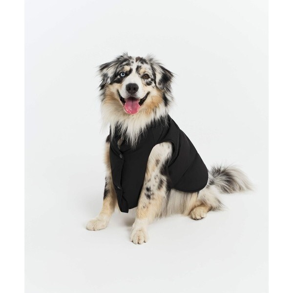 エーグル（AIGLE）/撥水 レインパックウォーム 四つ物 飼い犬