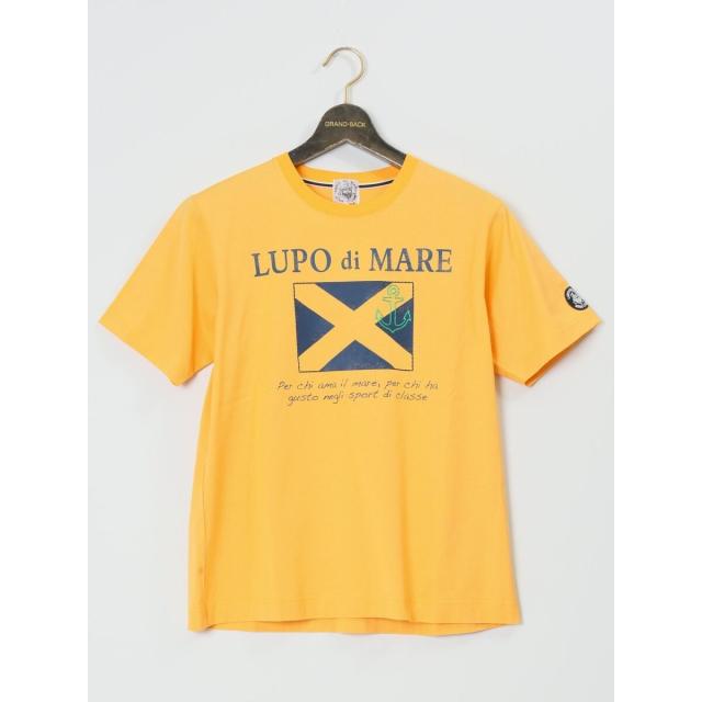 グランバック（GRAND−BACK）/【大きいサイズ】シナコバ 綿プリント クルーネック半袖Tシャツ