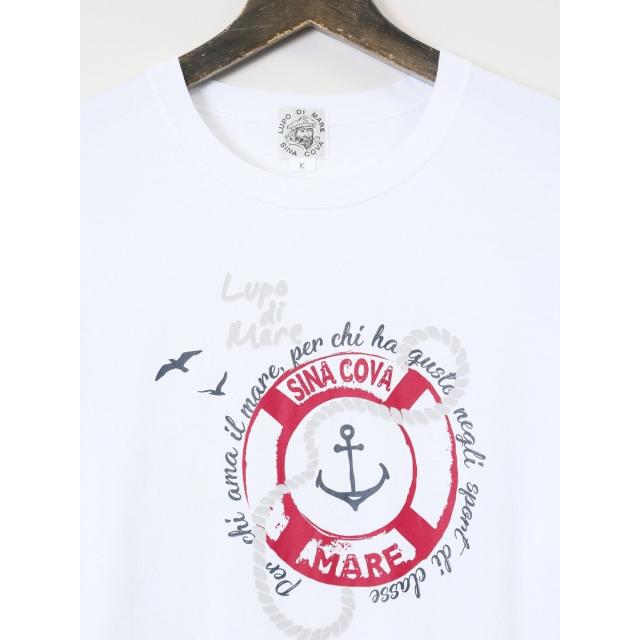 グランバック（GRAND−BACK）/【大きいサイズ】シナコバ 綿シルケット