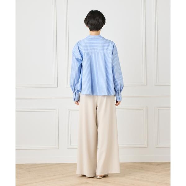 イネド（INED）/《大きいサイズ》バックフレアシャツ