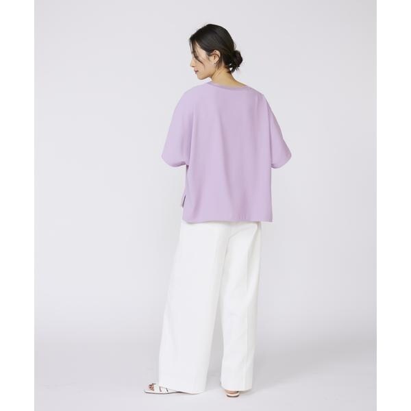 イネド（INED）/《大きいサイズ》吸汗速乾ジョーゼットプルオーバー