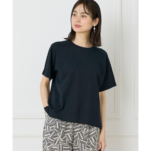 イネド（INED）/《大きいサイズ》《WEB限定》Tシャツ風プルオーバーサマーニット