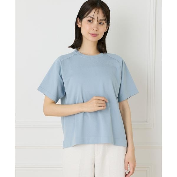 イネド（INED）/《大きいサイズ》《WEB限定》Tシャツ風プルオーバーサマーニット