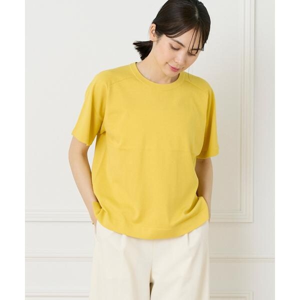 イネド（INED）/《大きいサイズ》《WEB限定》Tシャツ風プルオーバーサマーニット