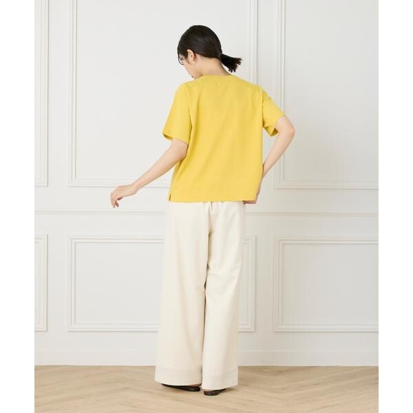 イネド（INED）/《大きいサイズ》《WEB限定》Tシャツ風プルオーバーサマーニット