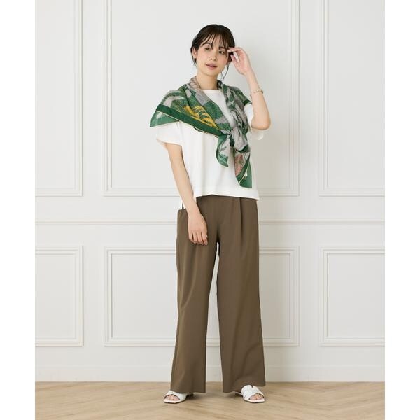 イネド（INED）/《大きいサイズ》《WEB限定》Tシャツ風プルオーバーサマーニット