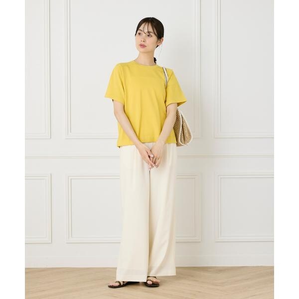 イネド（INED）/《大きいサイズ》《WEB限定》Tシャツ風プルオーバーサマーニット