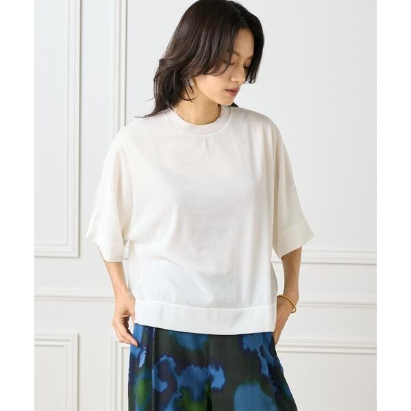 イネド（INED）/《大きいサイズ》シアーオーバーサイズカットソー