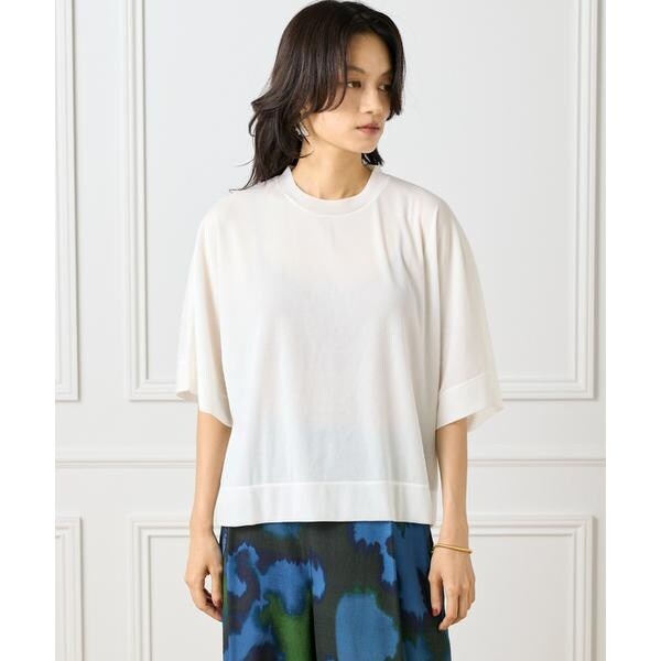 イネド（INED）/《大きいサイズ》シアーオーバーサイズカットソー