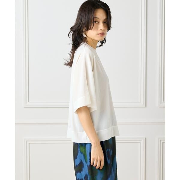 イネド（INED）/《大きいサイズ》シアーオーバーサイズカットソー