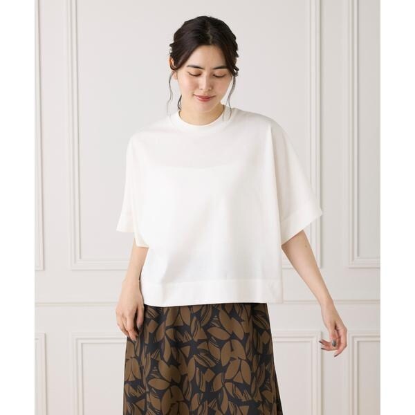 イネド（INED）/《大きいサイズ》シアーオーバーサイズカットソー